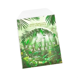 Funda DVD biodegradable con espacio para funda DVD - 100 uds.